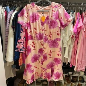 NWT Collective Concepts Pink and Violet Ruffle Button Dress